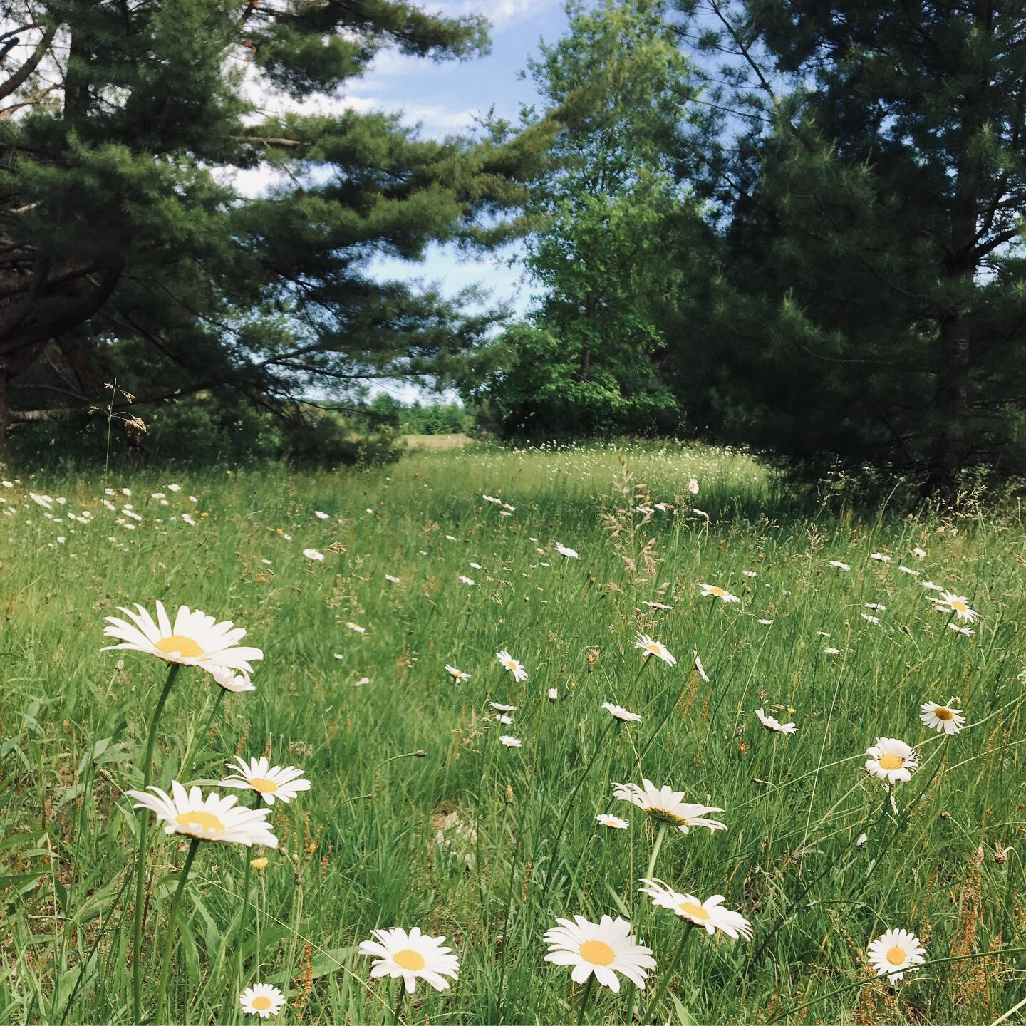 An important lesson I learned about rest — and ways we can rest in a world that pushes us to rush-