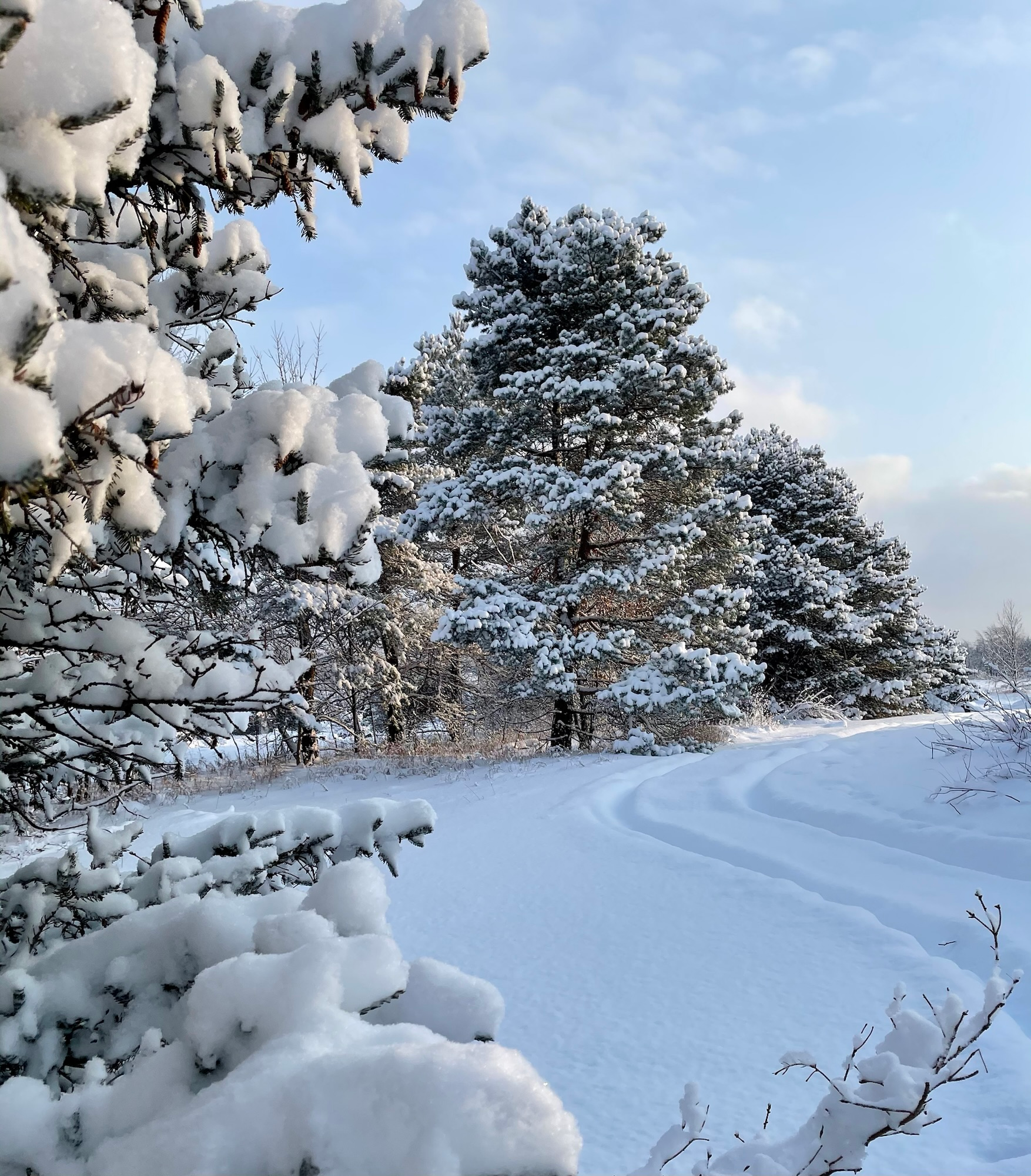 Wintertime: A Season to Slow Down, Get Cozy, and Rest