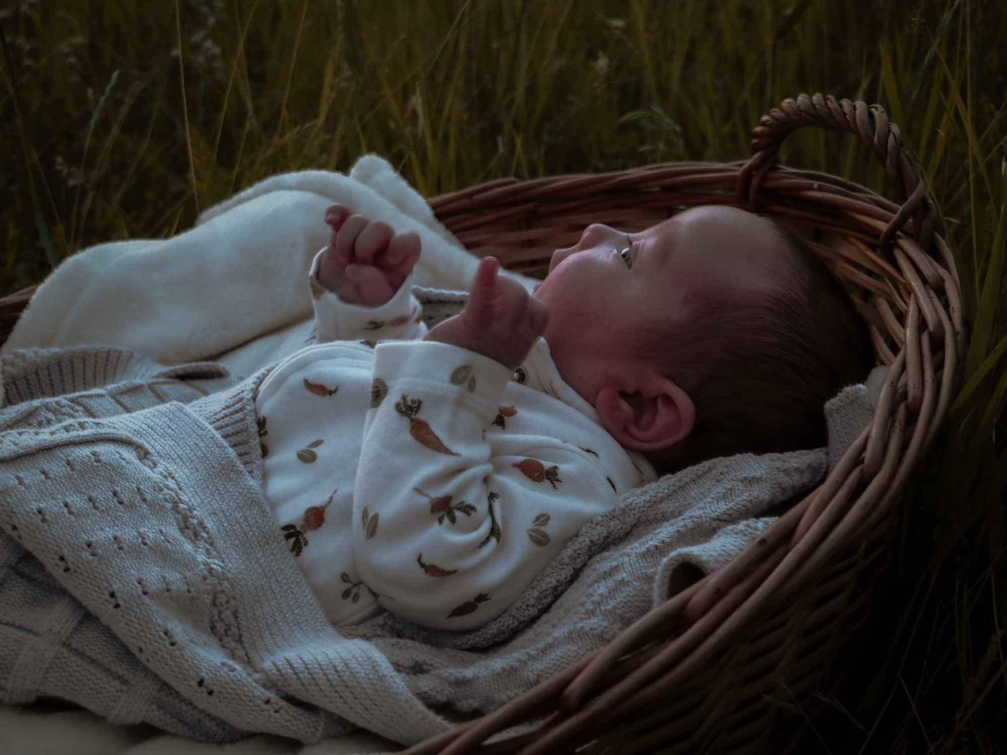 Thoughts on song for a fifth child-
